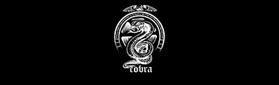 A.O. ASOCIAȚIA CASCADORILOR ȘI ACTORILOR DIN REPUBLICA MOLDOVA COBRA